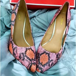 Size 11 coach heels perfect for the holidays